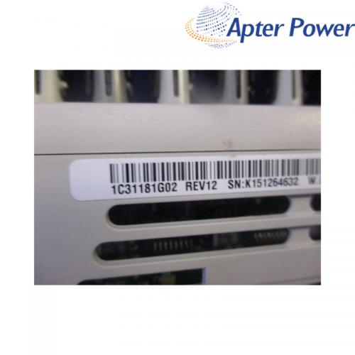 1C31181G02  Remote Module