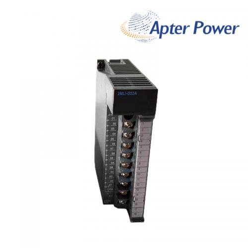 2MLI-D21D-CC Digital Input Module