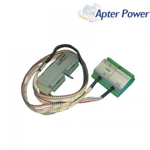 P0700KN Termination Cable Assembly