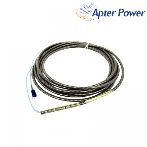 30930-065-01-00  Standard Extension Cable